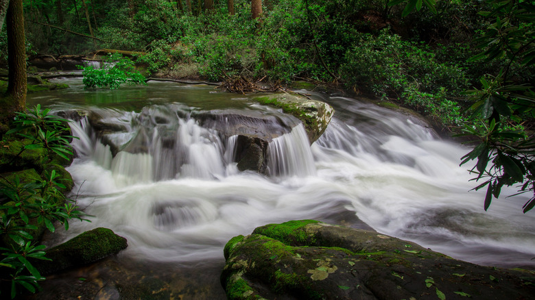 A small waterfall on Noontootla Creek in Northern Georgia.