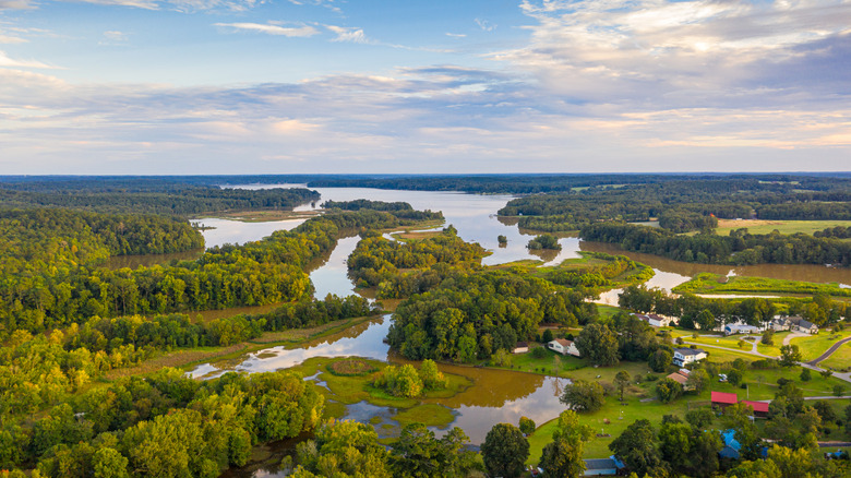 Georgia's Lake Oconee surrounded by trees