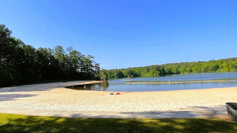 A sandy lakeside beach at Hard Labor Creek State Park in Georgia, surrounded by woodlands in the distance.