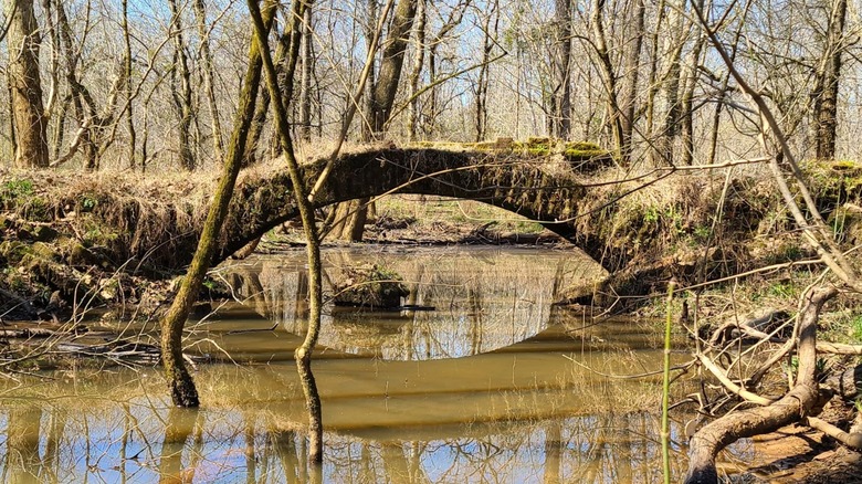 An overgrown stone bridge above a river located in a sparse brown forest at Scull Shoals.