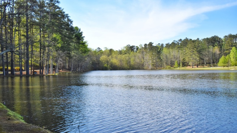 A beautiful sunny day at the lake in John Tanner State Park