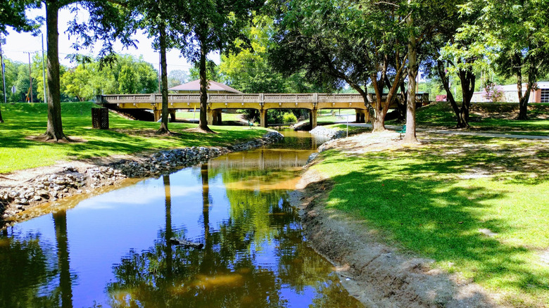 Williamston, South Carolina with its flagship Mineral Springs Park, with a small stream surrounded by trees