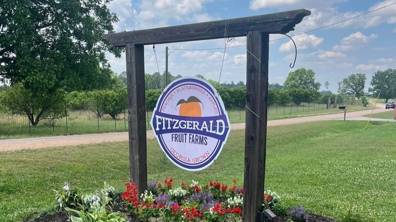 Sign for Fitzgerald Fruit Farms in Woodbury, Georgia