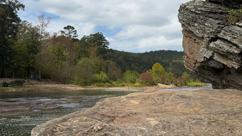 A beautiful river outlook with a rocky outcrop and trees in Sprewell Bluff Park