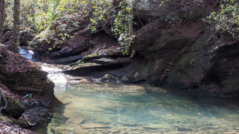 The creek at Henderson Falls Park in Toccoa, Georgia