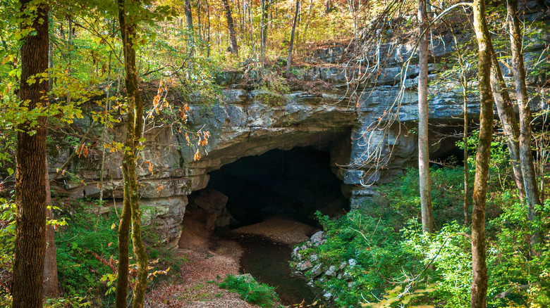 Russell Cave National Monument near Kimball, Tennessee