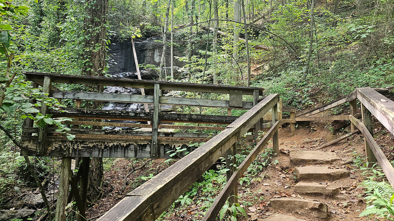 Trail view through woods at DeSoto Falls
