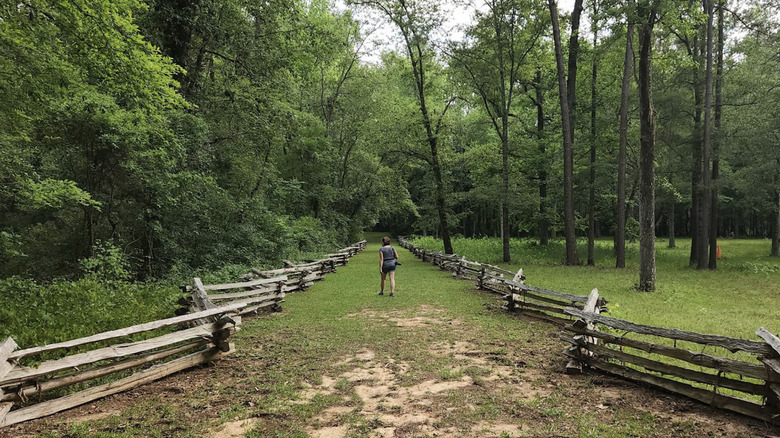 A hiking trail lined with a wooden zig-zagging fence and trees at the Rivers Bridge State Historic Site.