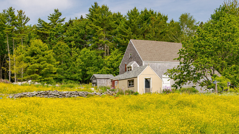 A house and meadow in the Medomak Valley region of Maine