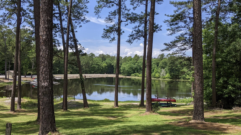 Trees surrounding a body of water at Magnolia Springs State Park in Millen, Georgia
