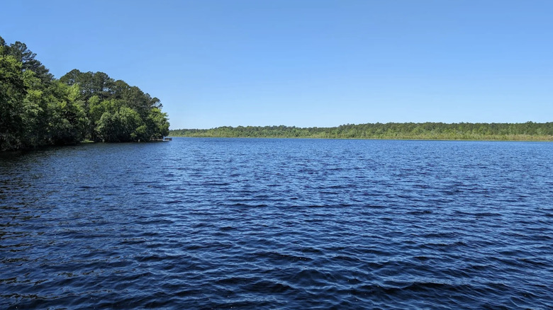 Shoreline views of Lake Warren at Lake Warren State Park in South Carolina