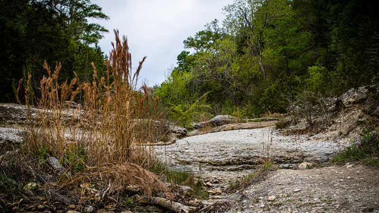 A trail in Chalk Ridge Falls Park in Central Texas