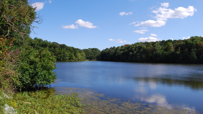 The lake in Greenbelt Park, Maryland