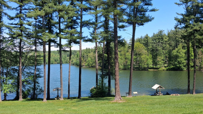 Lakeside trees and picnic area in William H. Kain County Park.