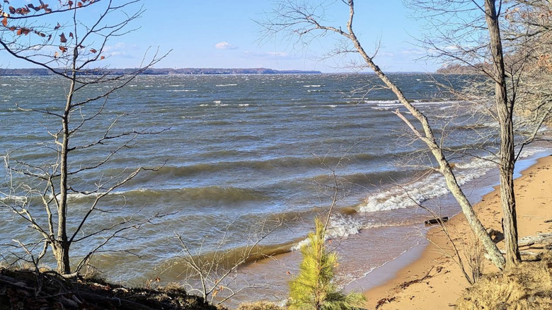 A water view from the sand at Grove Farm Wildlife Management Area, Maryland.