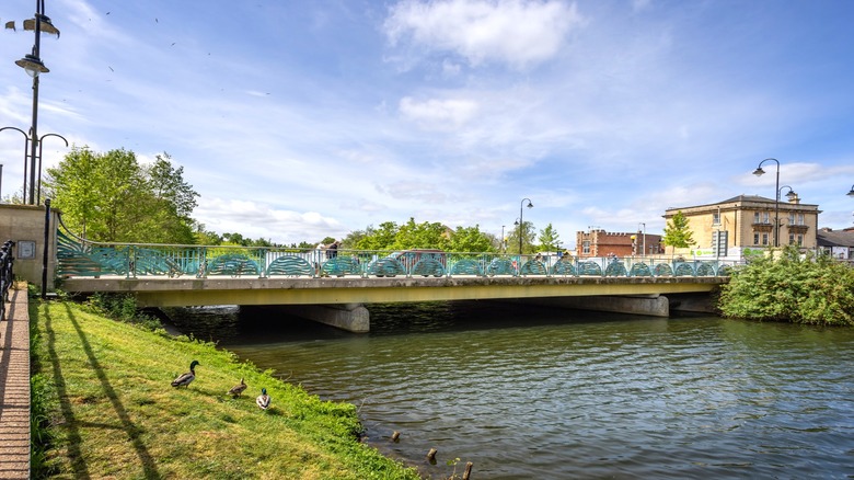 High street bridge over River Avon in Chippenham, Wiltshire, with ducks on the grass