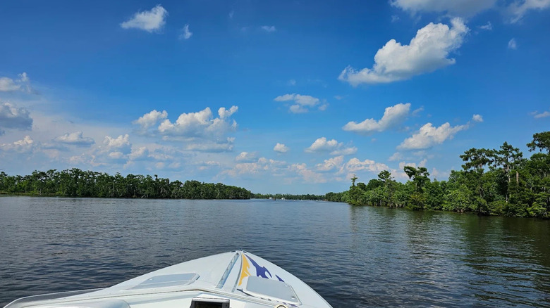 A boat sails along the water leading to Joyce Wildlife Management Area's Swamp