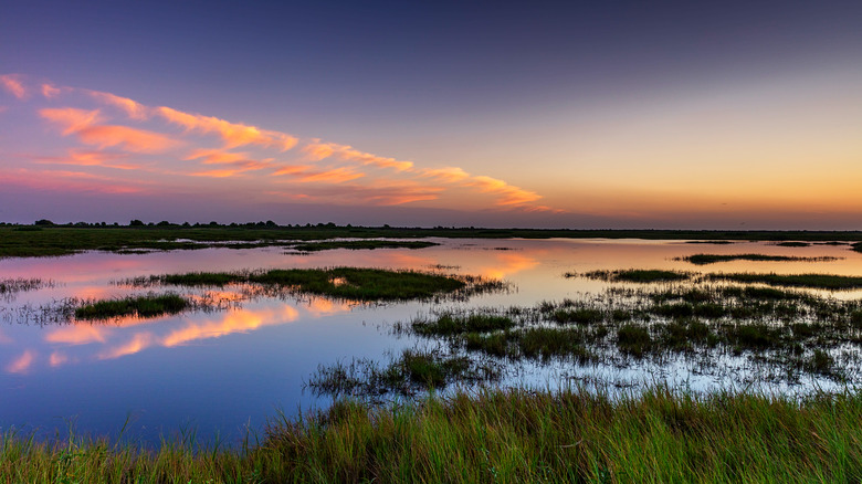 Sunrise over Brazoria National Wildlife Refuge