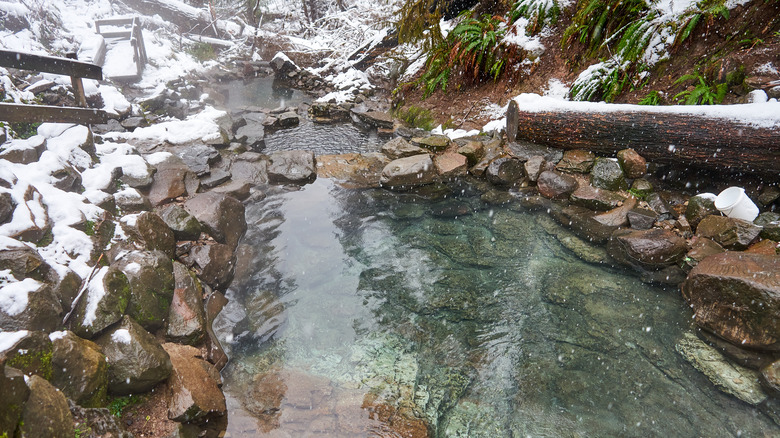 Terwilliger Hot Springs in the winter