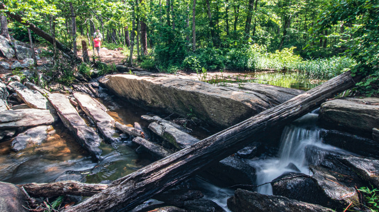 Long exposure of Cheaha Falls along Cheaha Creek on the Chinnabee Silent Trail in Talledega National Forest.