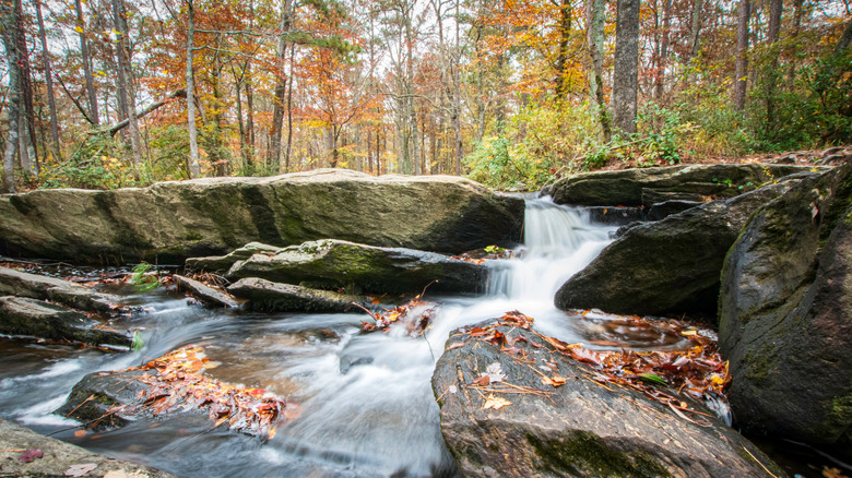 Low angle view of the top of Alabama's Cheaha Falls with colorful autumn foliage in the background.