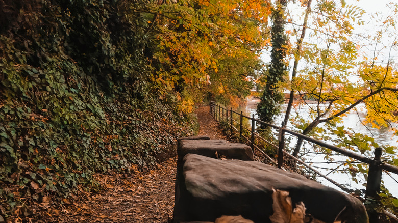A riverside pathway in Stapenhill Gardens during fall