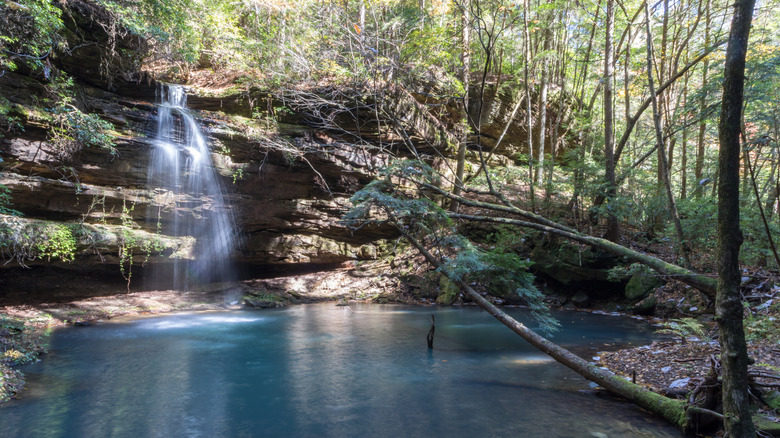 The cascading Shangri-La Falls pouring into a blue pool among trees and mossy rocks