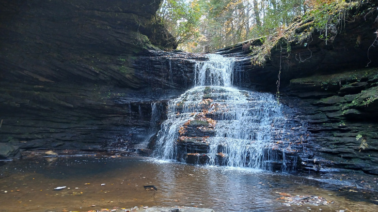 Water cascading down mossy rocks at Shangri-La Falls in Alabama