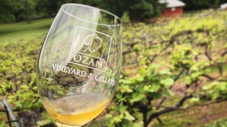 golf course with flag