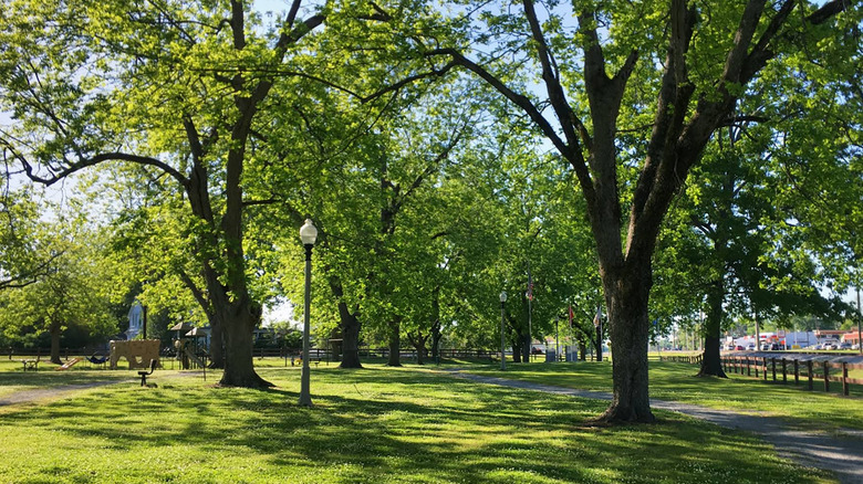 Greenery at Wood Park in Thorsby, Alabama