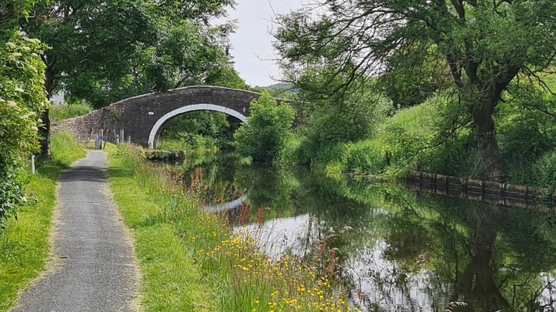 A grey cobblestone bridge over a canal in Victoria Park, Nelson, England, with green trees and wildflowers surrounding the water