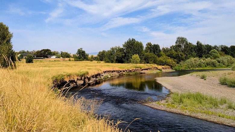 Idaho's Weiser River cuts through grassland and forest with blue skies overhead