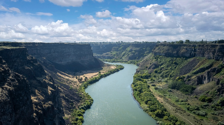 Snake River winds through Hells Canyon flanked by green trees on a sunny day
