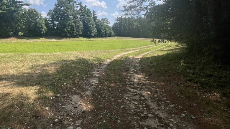 A hiking trail in Rocky Gutter Wildlife Management Area in Middleborough, Massachusetts
