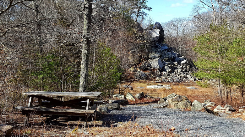 A picnic table on a gravel path in Freetown-Fall River State Forest.