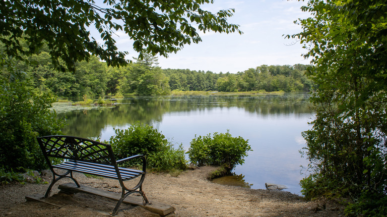 Borderland State Park in Easton