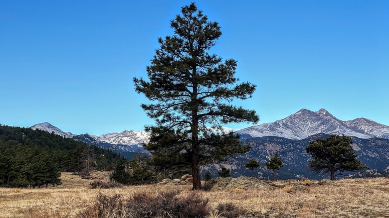 Hall Ranch Open Space in Colorado