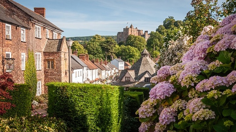 A sunny day in Dunster