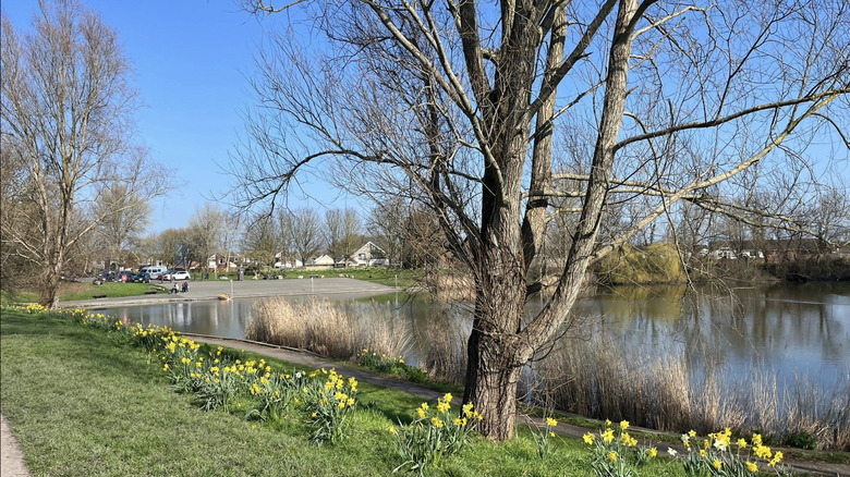 A lake surrounded by greenery in Apex Leisure Park in Burnham-on-Sea, England