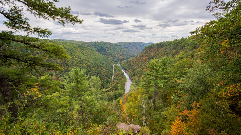 Pine Creek Gorge, affectionately known as Pennsylvania's Grand Canyon