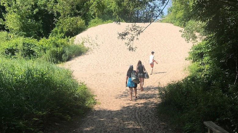 Beachgoers walking on sand at Bennett Beach