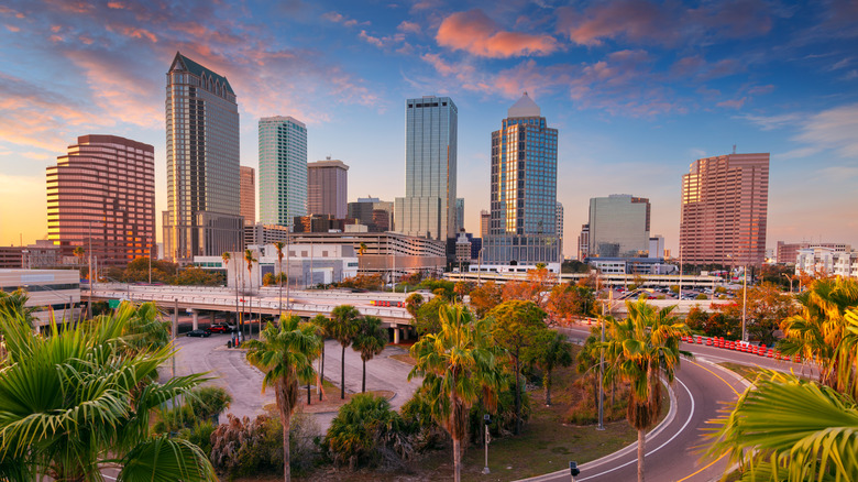 The skyline of Tampa, FL