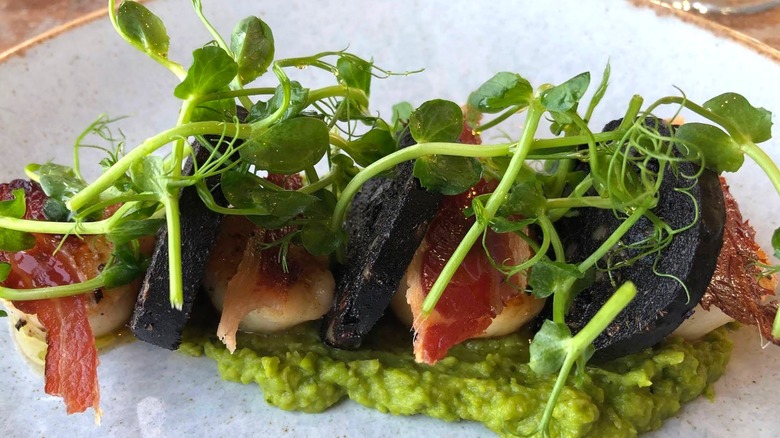 Pan fried scallops topped with microgreens at 1832 restaurant in Porthcawl, Wales