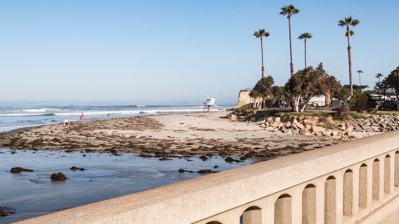 Shoreline with campground view of San Elijo State Beach, CA