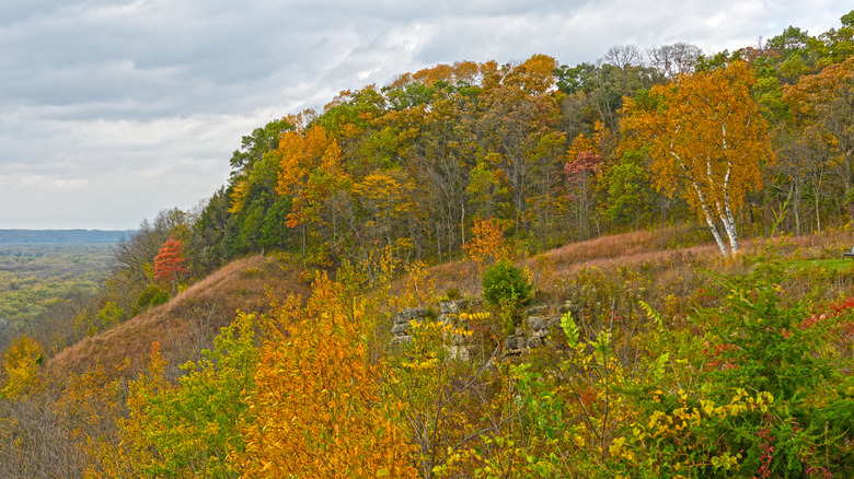 View of the forested bluffs in fall at Nelson Dewey State Park.