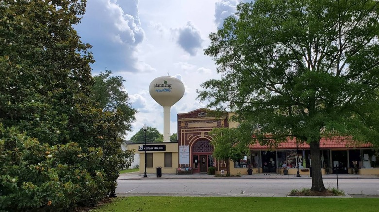 View of the water tower in Manning, South Carolina