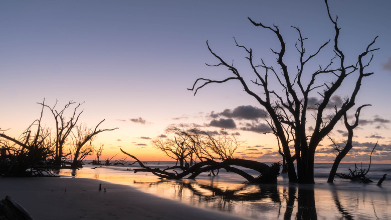 Boneyard Beach at dusk on Bulls Island