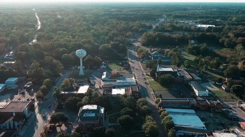 Aerial view of Manning, South Carolina