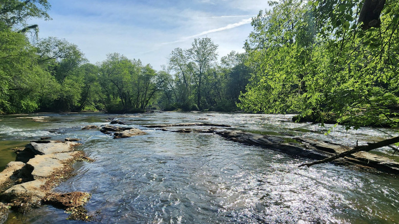 water surrounded by trees in Battle of Musgrove Mill State Historic Site, Clinton, South Carolina