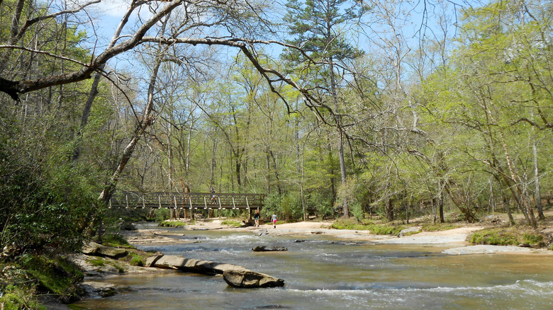 Fairforest Creek at Croft State Park